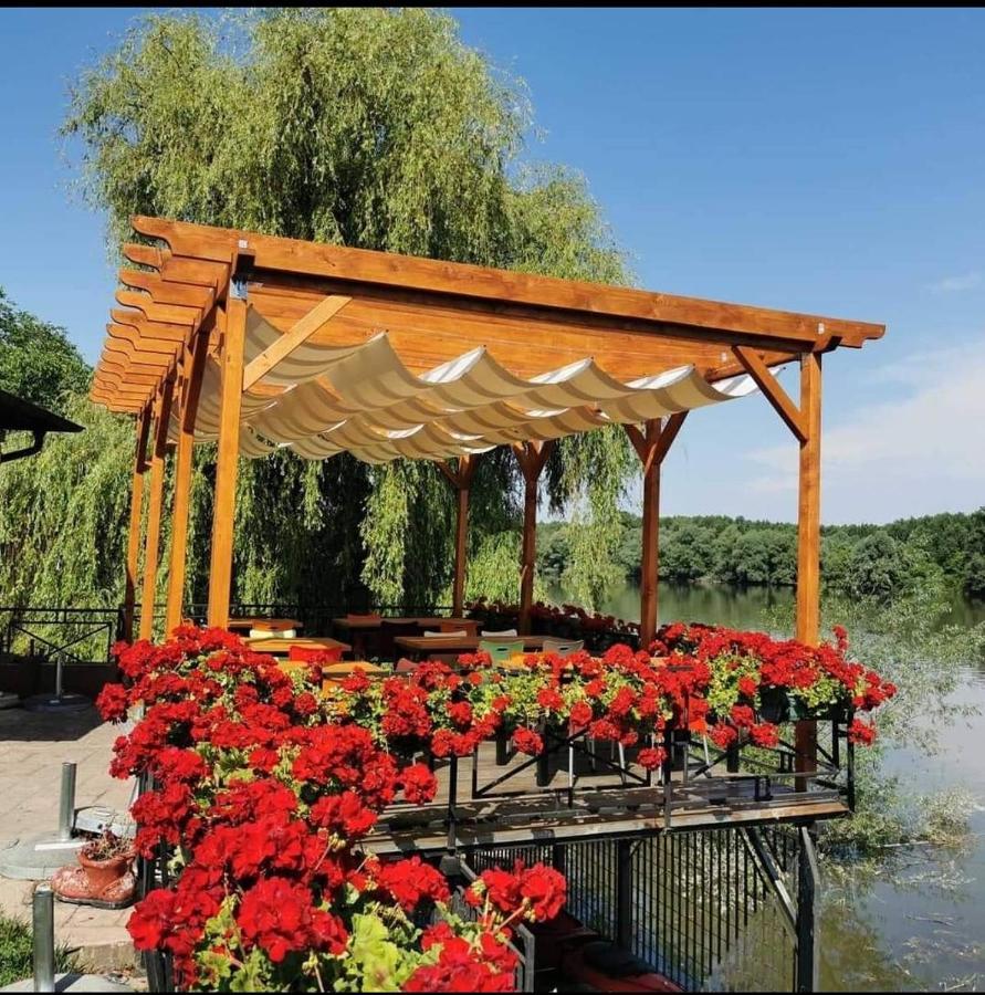 Vila Odmor Na Dunavu Beocin Экстерьер фото
